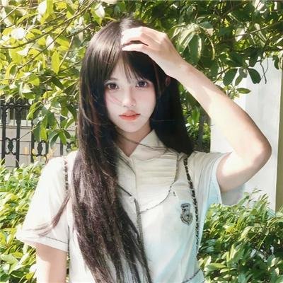 寻狗启事